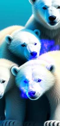 Photograph Polar Bear White Live Wallpaper
