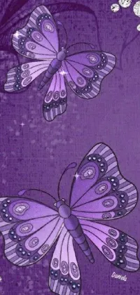 Photograph Pollinator Purple Live Wallpaper