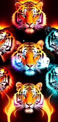 Photograph Siberian Tiger Vertebrate Live Wallpaper