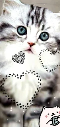 cute kitten Live Wallpaper