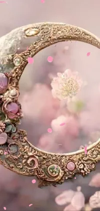 Picture Frame Natural Material Pink Live Wallpaper