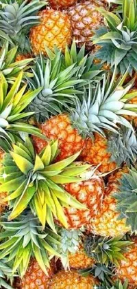 Pineapple Food Botany Live Wallpaper