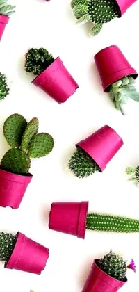 This hot pink phone live wallpaper features a group of potted plants arranged in a flatlay style on a clean white surface