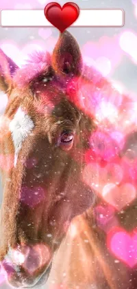 This phone live wallpaper features a detailed close-up of a horse with a heart marking on its forehead
