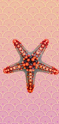 Looking for a stunning phone live wallpaper that will transport you to the sea? Look no further than this digital rendering of a starfish on a colorful background! With red caviar instead of sand and playful fish swimming around photorealistic coral reefs, this wallpaper is a feast for the eyes