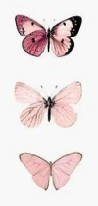 Looking for a beautiful and elegant live wallpaper for your phone? Check out this popular wallpaper featuring pink and black butterflies on a white background! The simple yet striking design creates a beautiful contrast with the soft and dynamic movement of the butterflies