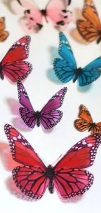 This live wallpaper for your phone showcases a vibrant table adorned with colorful, paperclip butterflies