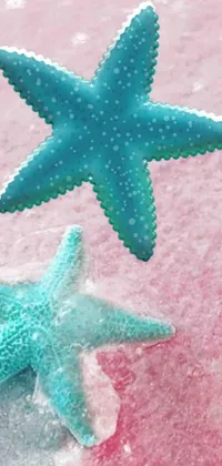 This beautiful phone live wallpaper features a close up of two starfish on a candy-colored beach