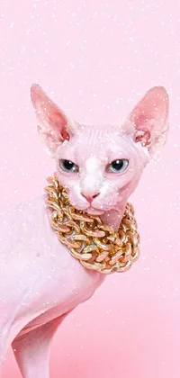 Pink Carnivore Cat Live Wallpaper