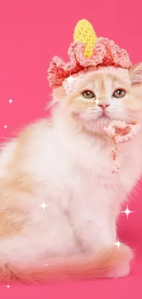 This live wallpaper is overflowing with cuteness! It features an adorable cat with a crocheted hat in the center of a vibrant pink background