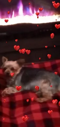 This live phone wallpaper showcases a cute little dog relaxing on a cozy blanket in front of a warm fireplace