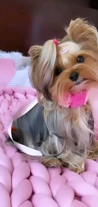 Bring your phone to life with this adorable live wallpaper featuring a small dog sitting on a pink blanket