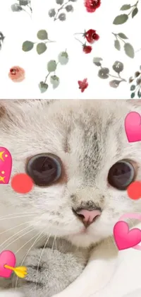 This lively phone live wallpaper showcases a close-up of an adorable cat face adorned with delicate flowers and heart-shaped accents, providing a cute and festive Japanese-inspired appearance