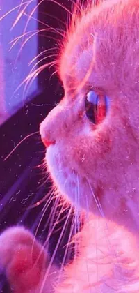 This phone live wallpaper features a digital art piece of a curious cat looking out of a window