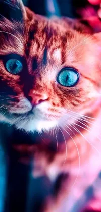 This phone live wallpaper showcases a stunning close up of a blue-eyed cat, featuring digital art enhancements and a mix of colors, including orange and cyan lighting