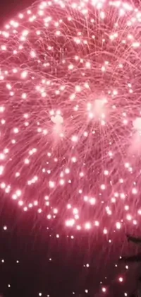 This live wallpaper features a stunning display of fireworks lighting up the night sky in a beautiful rose pink hue