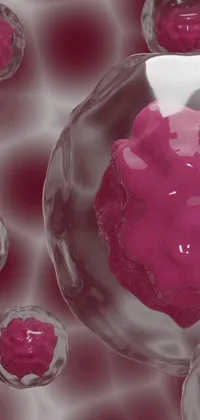 This phone live wallpaper features a detailed digital rendering of a pink substance contained within a glass bowl