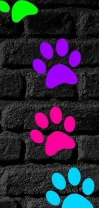 Add some playful charm to your phone with this live wallpaper that features four colorful pawprints on a brick wall