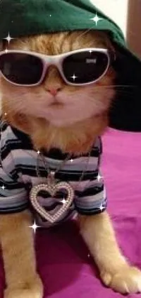 Cool Otter with Sunglasses Live Wallpaper