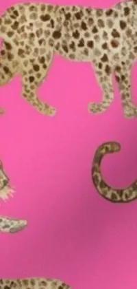 This live wallpaper features an elegant leopard pattern on a pink background, perfect for any fashion enthusiast