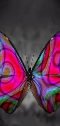This phone live wallpaper showcases a vibrant butterfly with pink and purple accent colors, surrounded by psychedelic art, foliage, a horse, a bride and an X symbol