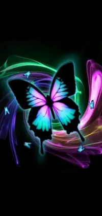 This live wallpaper showcases a close-up view of a beautiful butterfly in vibrant purple, blue, and green colors, set on a black background