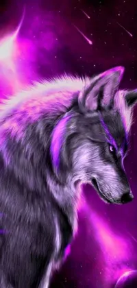 This live wallpaper showcases a close-up of a fierce wolf set against a soothing purple background