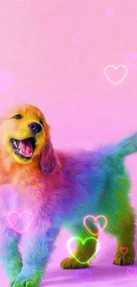 This live phone wallpaper displays a colorful painting of a cheerful puppy set against a bright pink background