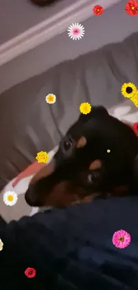 This live wallpaper showcases an adorable dog resting on a bed of colorful flowers