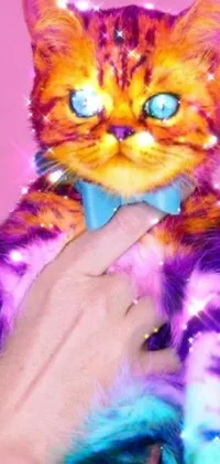 Looking for a charming live wallpaper for your phone? Check out this close-up image of a person holding a cute cat! The joyful and colorful digital art of this furry friend is inspired by playful, toy commercial photo styles