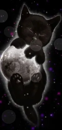 This phone live wallpaper showcases a charming black cat taking a nap on a crescent moon in furry art style