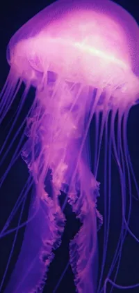This phone live wallpaper features a mesmerizing image of a glowing purple jellyfish in the dark