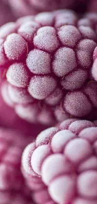 Bring a touch of nature to your phone with this stunning raspberry phone live wallpaper