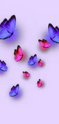 This beautiful live wallpaper depicts a group of butterflies in stunning digital art, complete with intricate patterns and vibrant colors