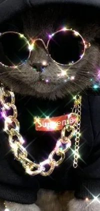This phone live wallpaper features a hip cat wearing sunglasses and a hoodie