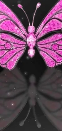 Introducing our stunning pink butterfly phone live wallpaper