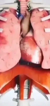 This unique live wallpaper showcases the intricate inner workings of the human body, featuring an amalgamation of heart, kidney, lungs, and other organs overlaid with the aesthetics of Instagram and video art