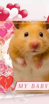 Pink Rodent Whiskers Live Wallpaper