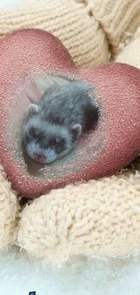 This live phone wallpaper features a heart-shaped object containing tiny mice with furry creatures like marmosets and ferrets