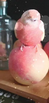 Pink Sweetness Snowman Live Wallpaper