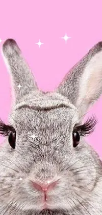 Pink Whiskers Head Live Wallpaper