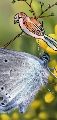 Plant Animal Butterfly Live Wallpaper