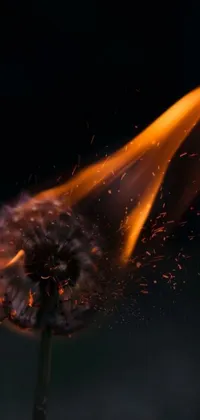 Experience the dynamic and fiery energy of a burning matchstick in this live wallpaper