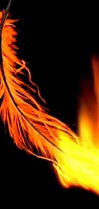 This phone live wallpaper captures an intricate close-up of a burning feather on a black background