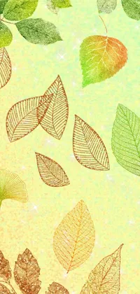This live wallpaper features a digital rendering of multi-colored leaves set on a green background