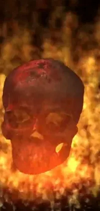 This live phone wallpaper showcases a digital rendering of a skull engulfed in flames against a black background