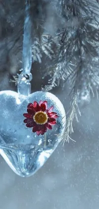 This live phone wallpaper features a heart-shaped glass ornament hanging from a tree branch