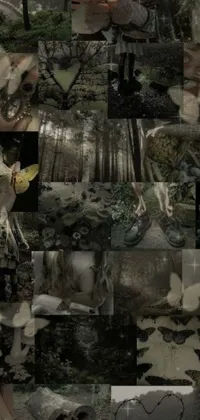 This phone live wallpaper features a stunning collage of images set in the woods