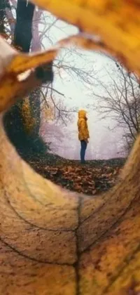 This amazing wallpaper features a captivating illustration of a person wearing a yellow jacket standing in a tunnel