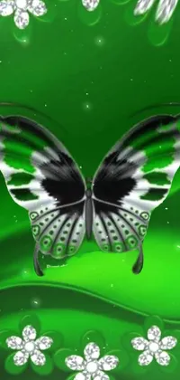 Plant Arthropod Butterfly Live Wallpaper